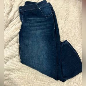 Lane Bryant Jeans 24